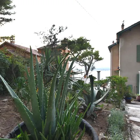Lei Cigaloun - Bord De - La Madrague سا سيرْ سور مير